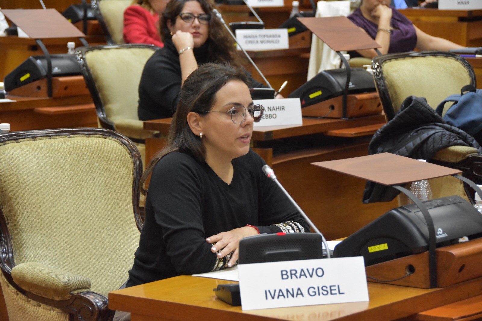 La Legislatura sancionó la creación de la Municipalidad de Susques y leyes para el empleo público