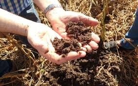 Un nuevo aporte para el campo dio la UNL y el CONICET