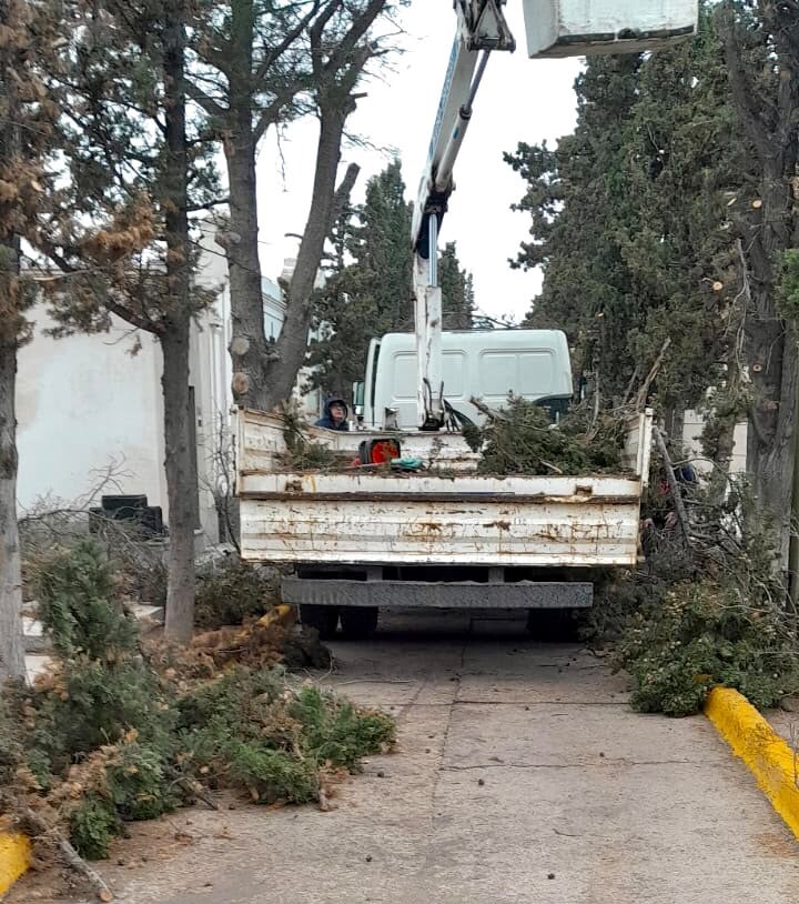 El Municipio de Trelew cambió las luminarias y realizó poda en el cementerio