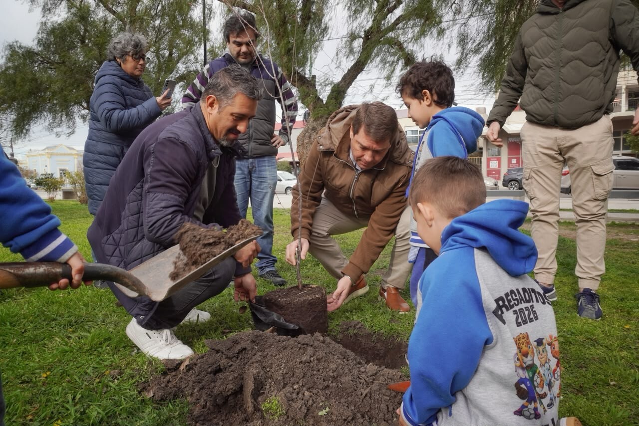 Semana del Árbol: Rawson fue cuarta a nivel nacional en plantación de árboles por habitante en 2025 Semana del Árbol: Rawson fue cuarta a nivel nacional en plantación de árboles por habitante en 2025