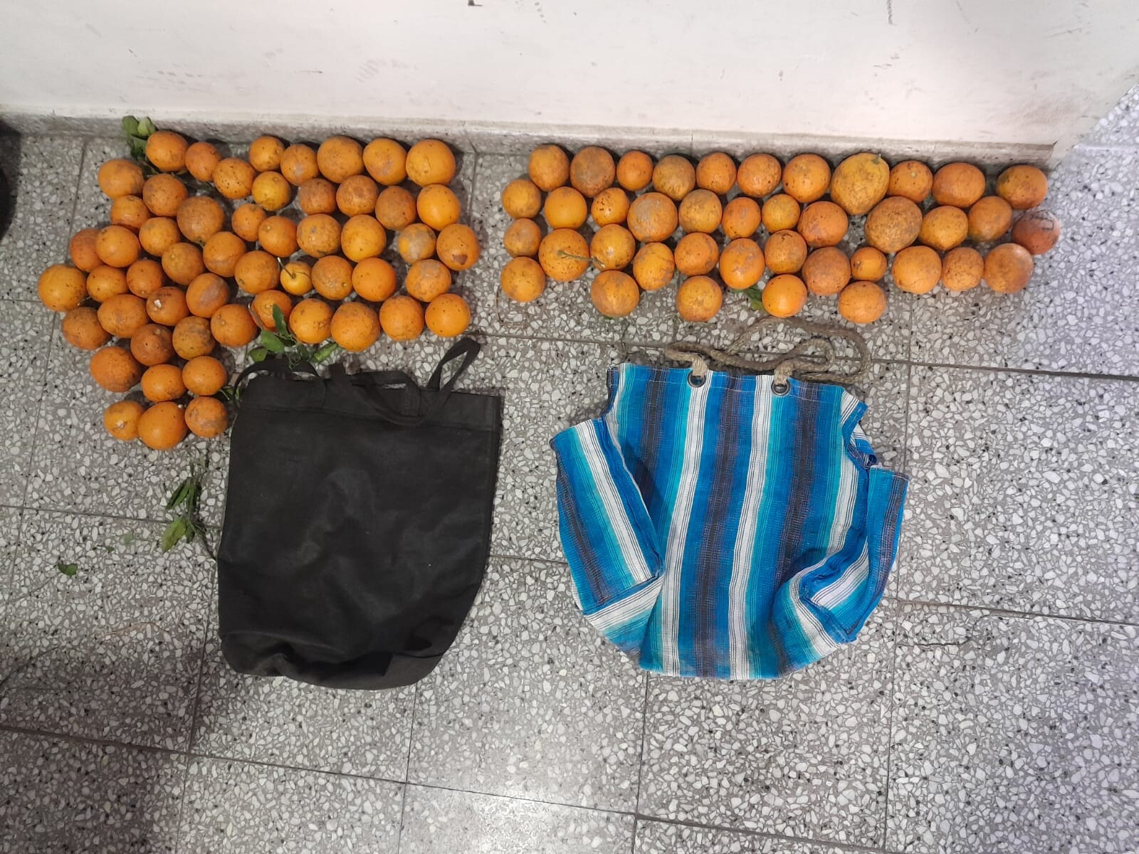 VILLA OCAMPO: Hurto En Grado De Tentativa