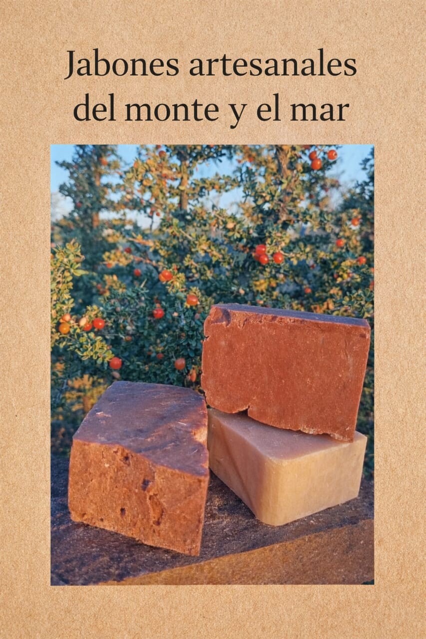 Del Monte y del Mar: dos emprendedoras que transforman saberes y naturaleza local en productos artesanales
