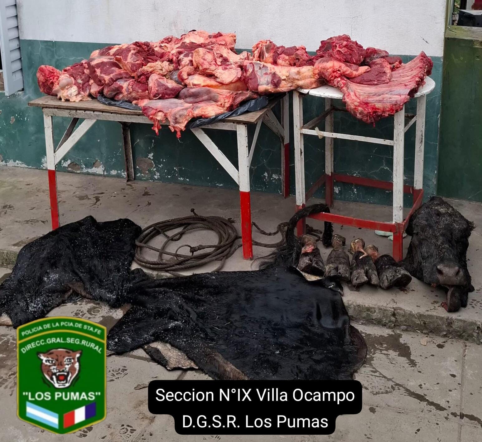 WhatsApp Image 2026-08-30 at 13.12.28 (1).jpeg WhatsApp Image 2026-08-30 at 13.12.28 (1).jpeg