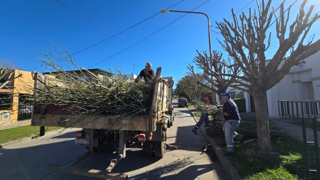Última Semana Del Horario De Otoño-Invierno Para La Recolección De Ramas