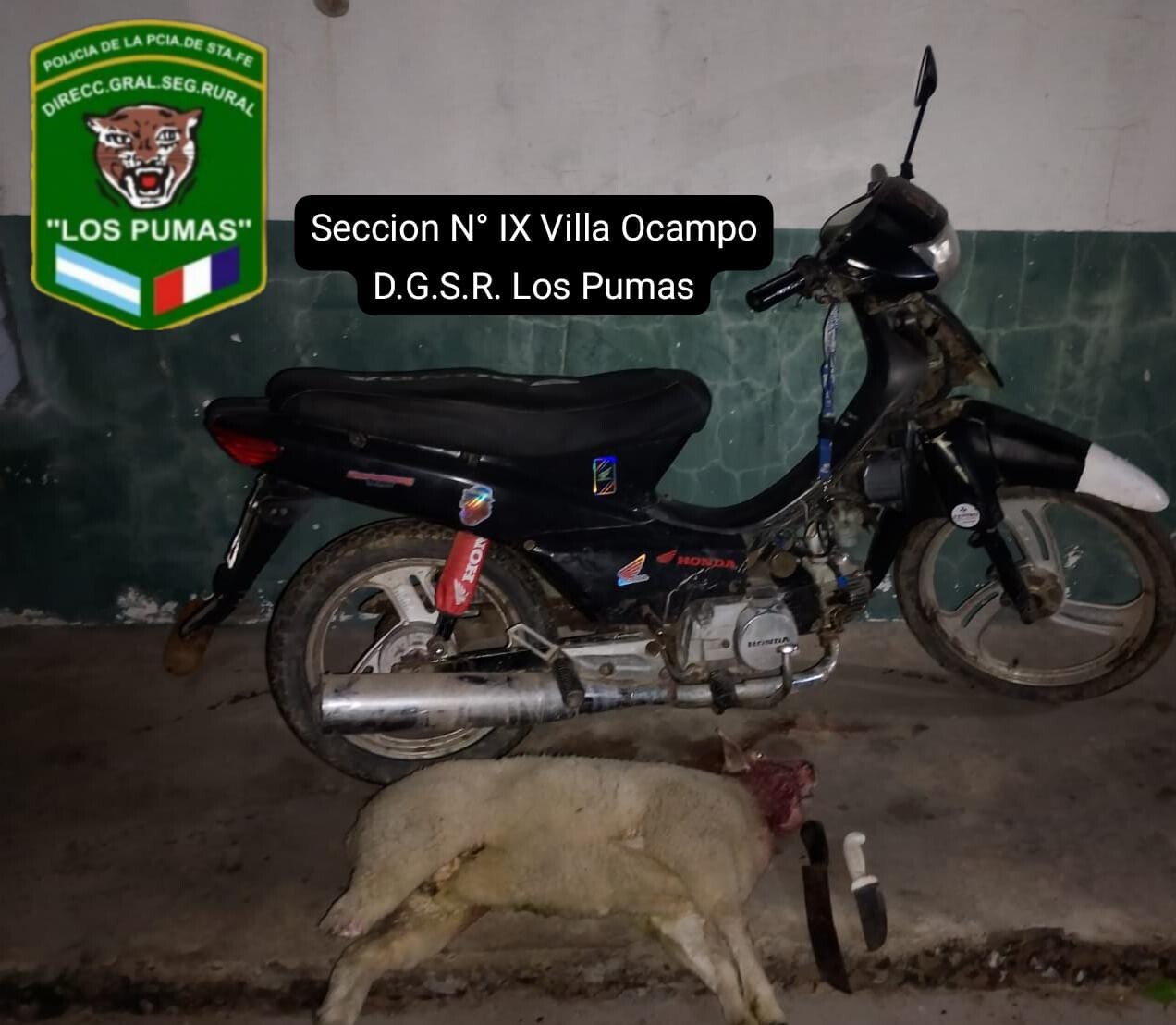 VILLA OCAMPO: Dos Hombres Aprehendidos Por Abigeato En Zona Rural De Las Toscas