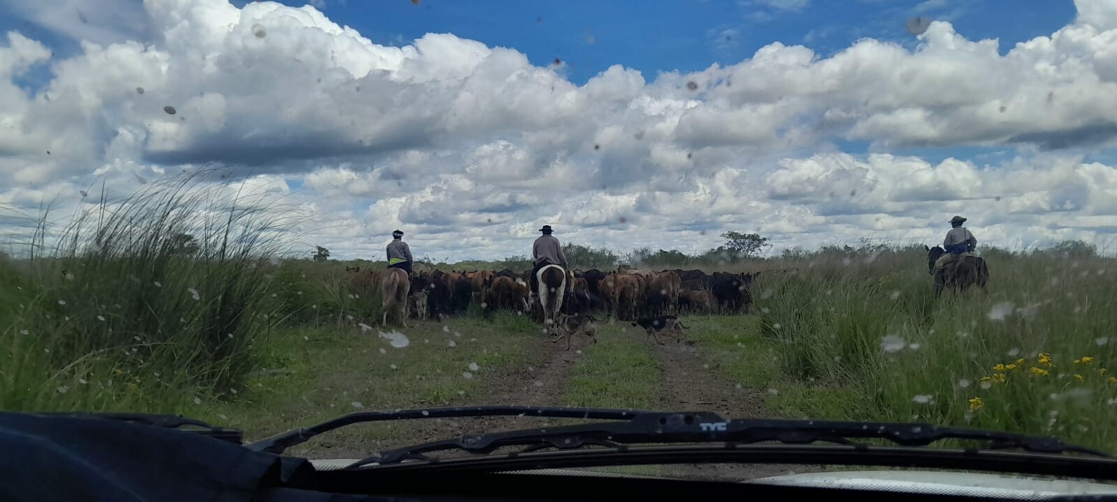 Comunicado Importante: Se Solicita Precaución Al Circular Por La Ruta Provincial N.º 32 Y El Camino Rural N.º 407