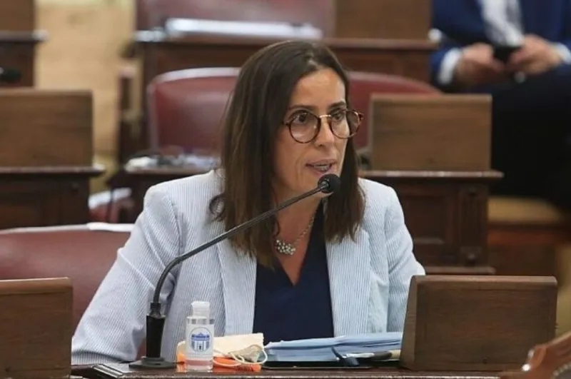 El PRO propone eliminar las vedas y hacer optativo el voto en las PASO