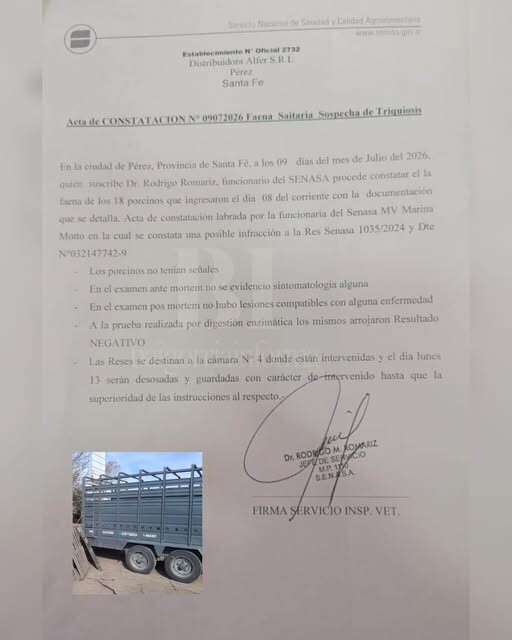 Los animales entregados en Ybarlucea dieron negativo a triquinosis