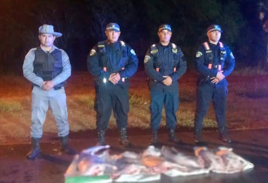 POLICIA CAMINERA: SECUESTRA UN ANIMAL VACUNO, SEIS FAENADOS E INTERVIENE UNA CARGA POR IRREGULARIDADES