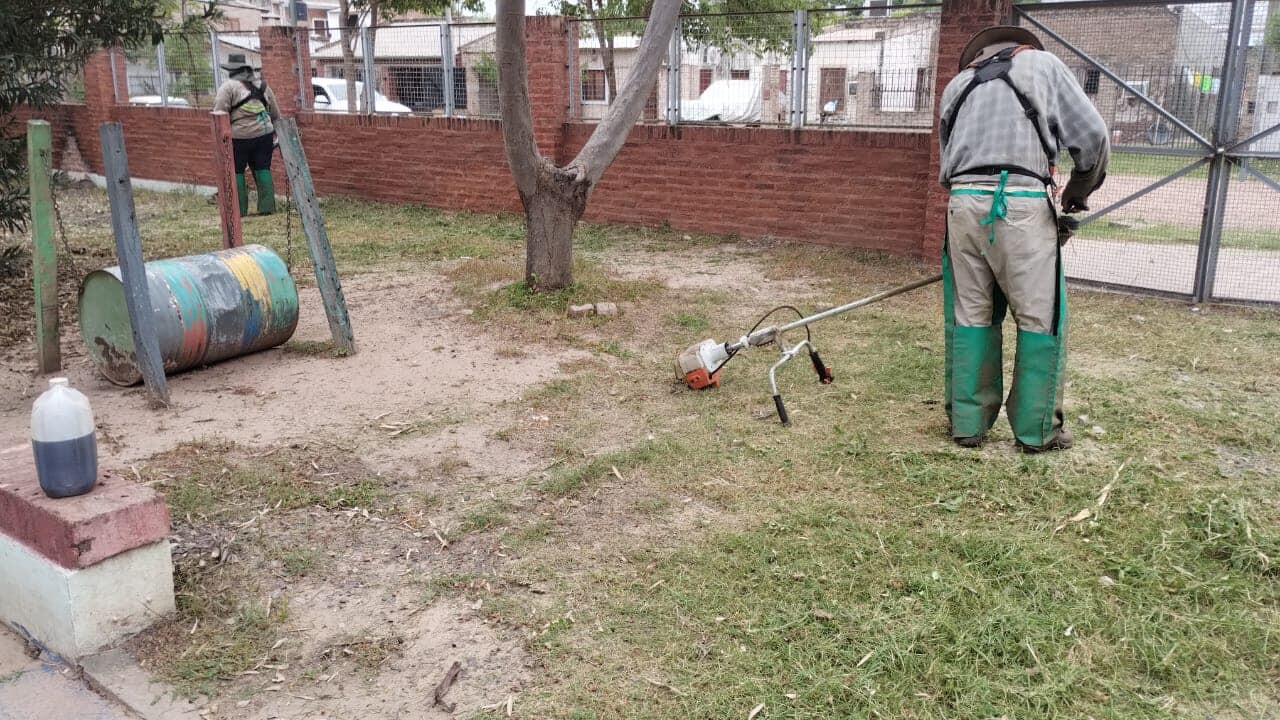 Z.jpg