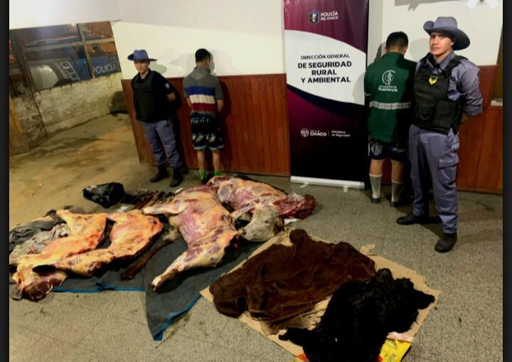 CHACO: EN DOS PROCEDIMIENTOS SECUESTRAN CARNE ILEGAL, TRES PERSONAS DETENIDAS