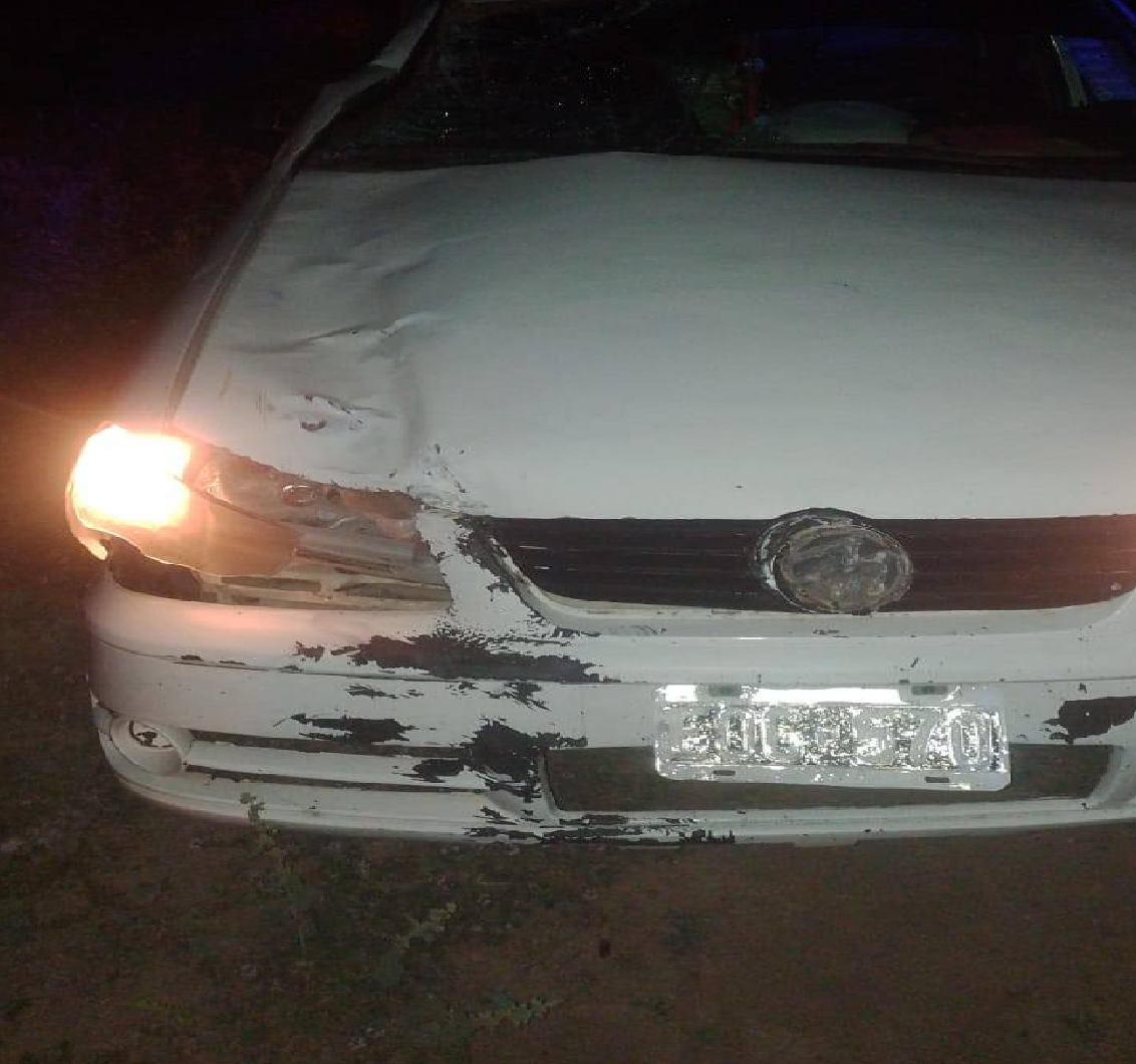 GRAL. PINEDO: CAMIONETA ATROPELLÓ A UN EQUINO QUE SE ESCAPÓ DE SU CUIDADOR