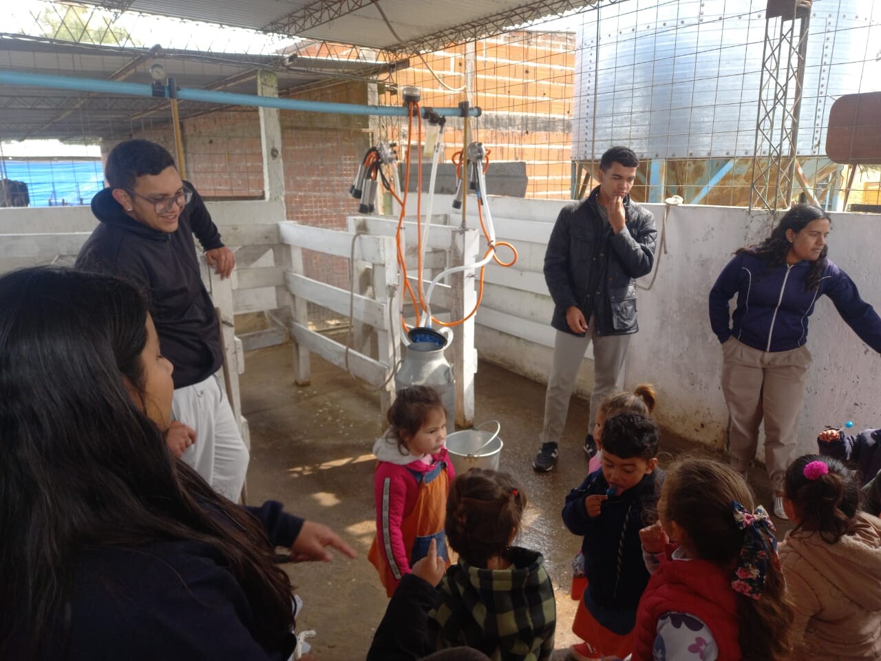 a26ea0a9-c3cf-45cf-8c33-f24147d8d9d2.jpg a26ea0a9-c3cf-45cf-8c33-f24147d8d9d2.jpg