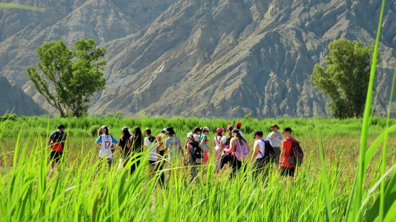 La Secretaría de Ambiente invita a una actividad única para conocer la biodiversidad local.