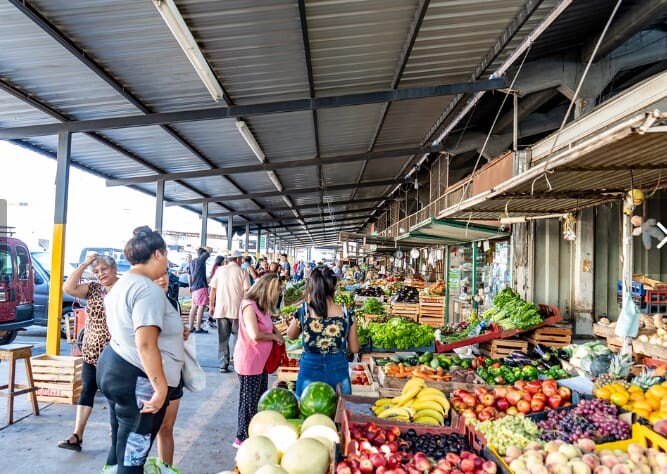 La gestión de la intendente Susana Laciar en la municipalidad de San Juan ha implementado varias mejoras en la feria municipal y el mercado de abasto.