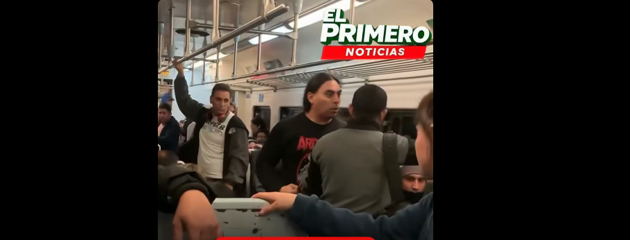 Bajó a las piñas a un acosar del tren San Martín