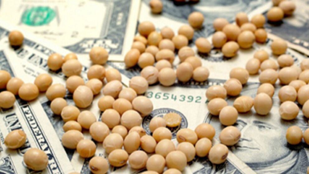 El agro podría liquidar más de US$36.000 millones en 2026 por mejores precios y mayor cosecha