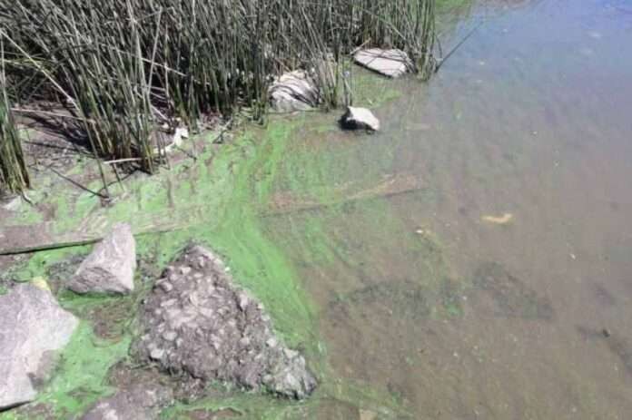 Río de Quilmes: Preocupación por evidencias de derrame de combustible en el agua