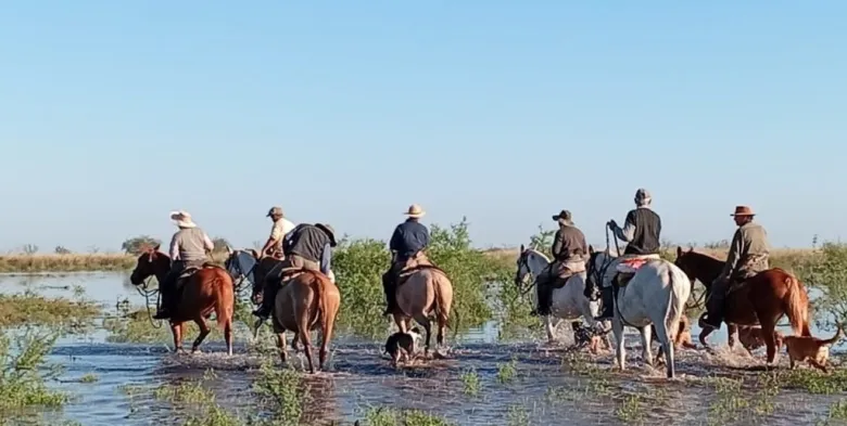 Santa Fe declaró la emergencia agropecuaria en el norte provincial y dispuso alivios impositivos para productores afectados