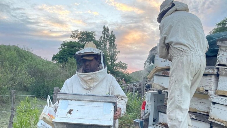 Ambiente impulsa la apicultura en Valle Fértil con la entrega de núcleos de abejas