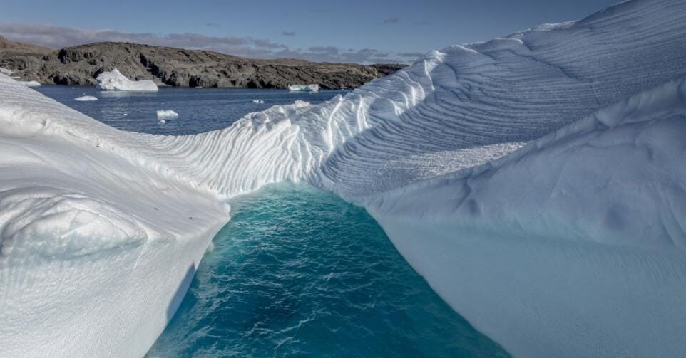 ¿La solución está en la Antártida? la startup que investiga microrganismos “extremófilos” para mejorar el rendimiento de los cultivos