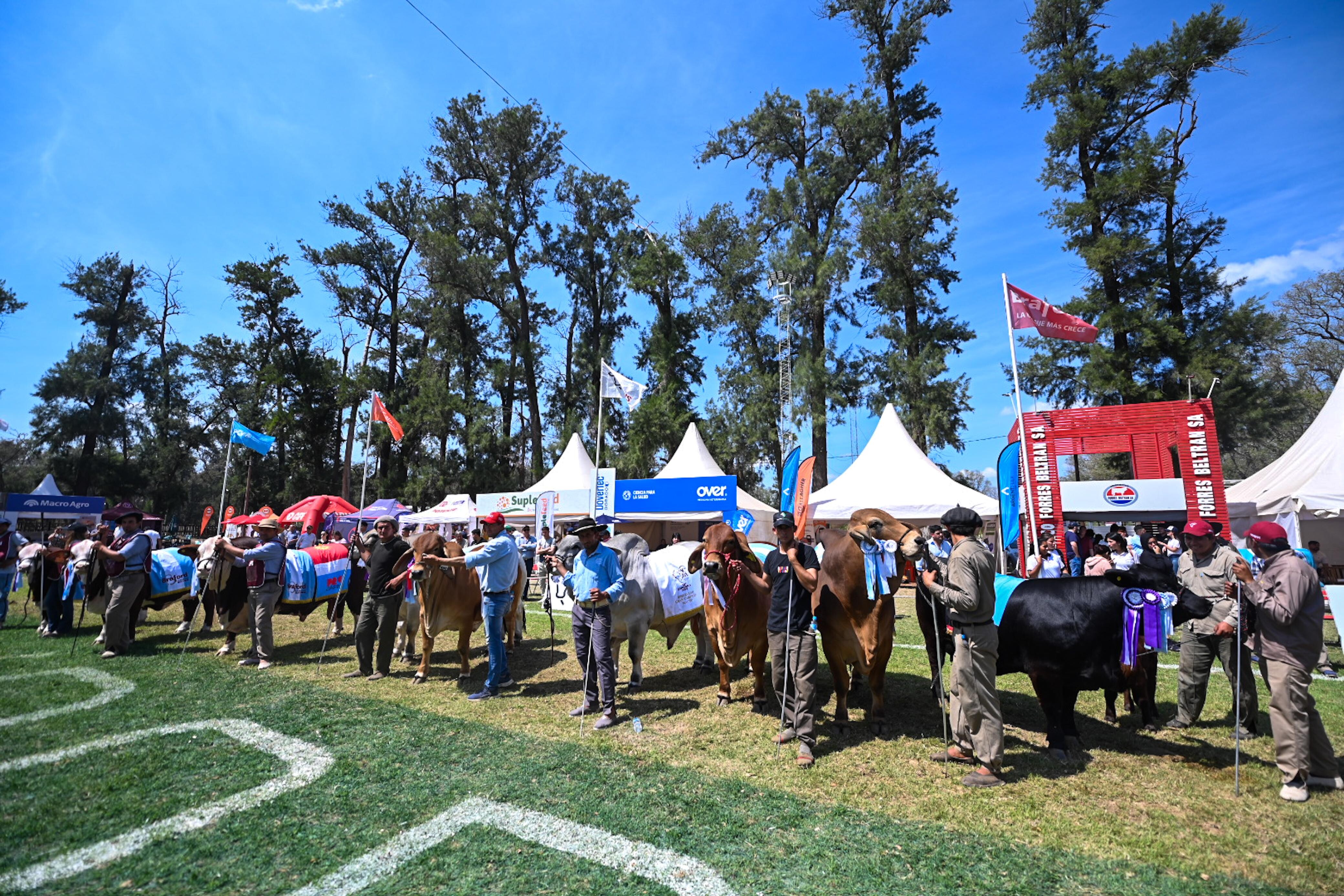 apertura oficial de la ExpoBra 2025 1.jpeg