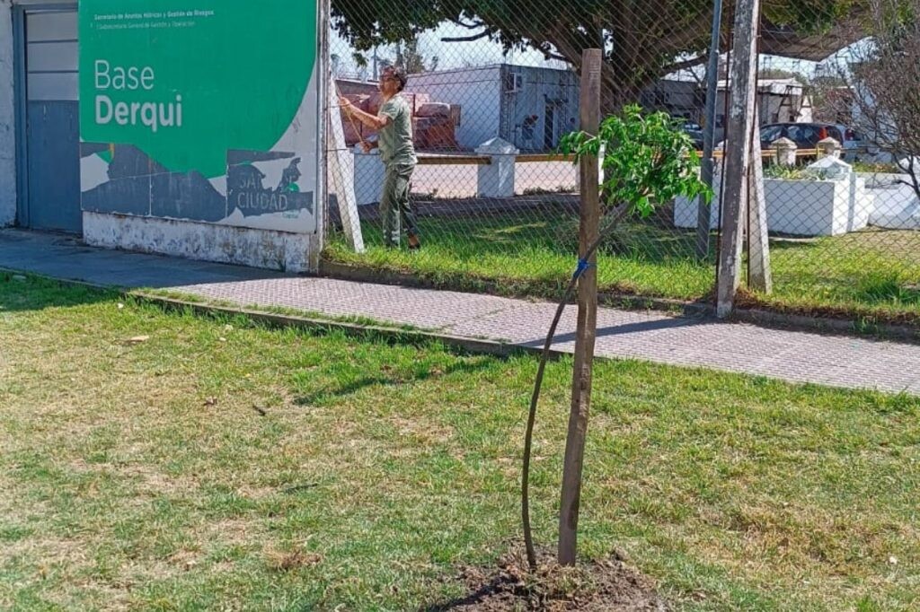 arbol-base-derqui-.jpg