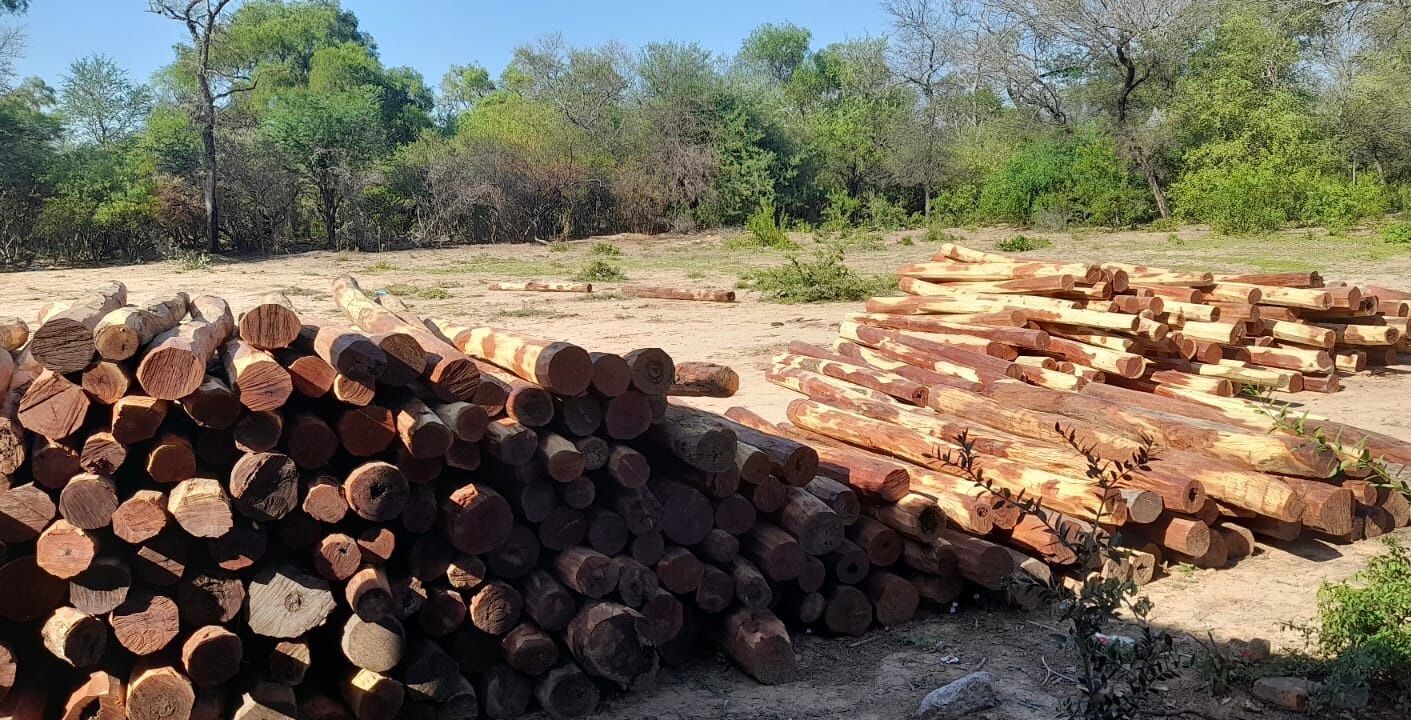 b166ae25-2903-47cf-956a-0930ec09311e.jfif BOSQUES SECUESTRÓ 350 POSTES DE QUEBRACHO COLORADO