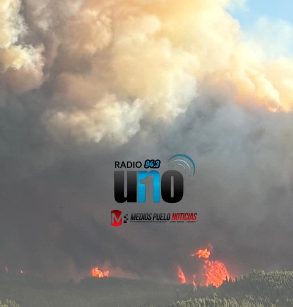 INCENDIO EN PUERTO PATRIADA