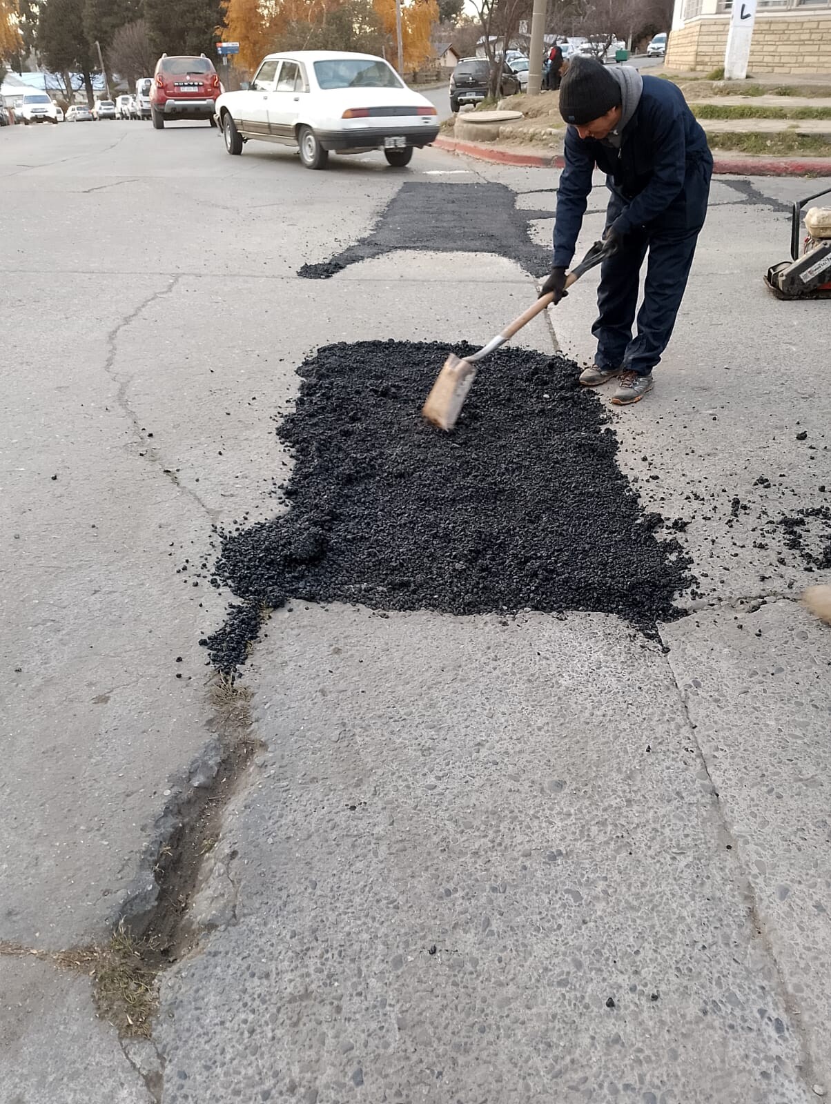 bache3