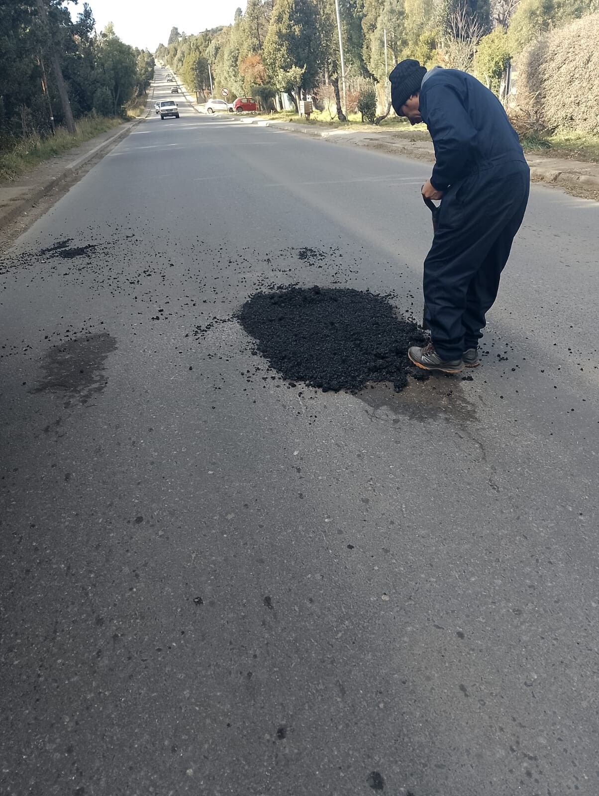 bache4