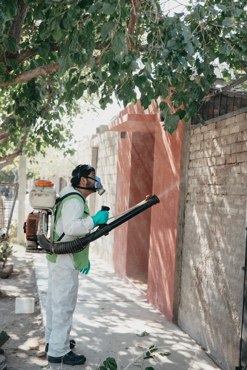 CIUDAD: La Dirección de Ambiente presentó nuevo cronograma de desinsectación y educación ambiental