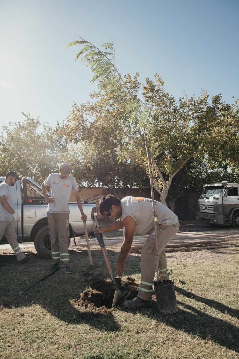 barrio-frondizi-pantando-árbol.jpg barrio-frondizi-pantando-árbol.jpg