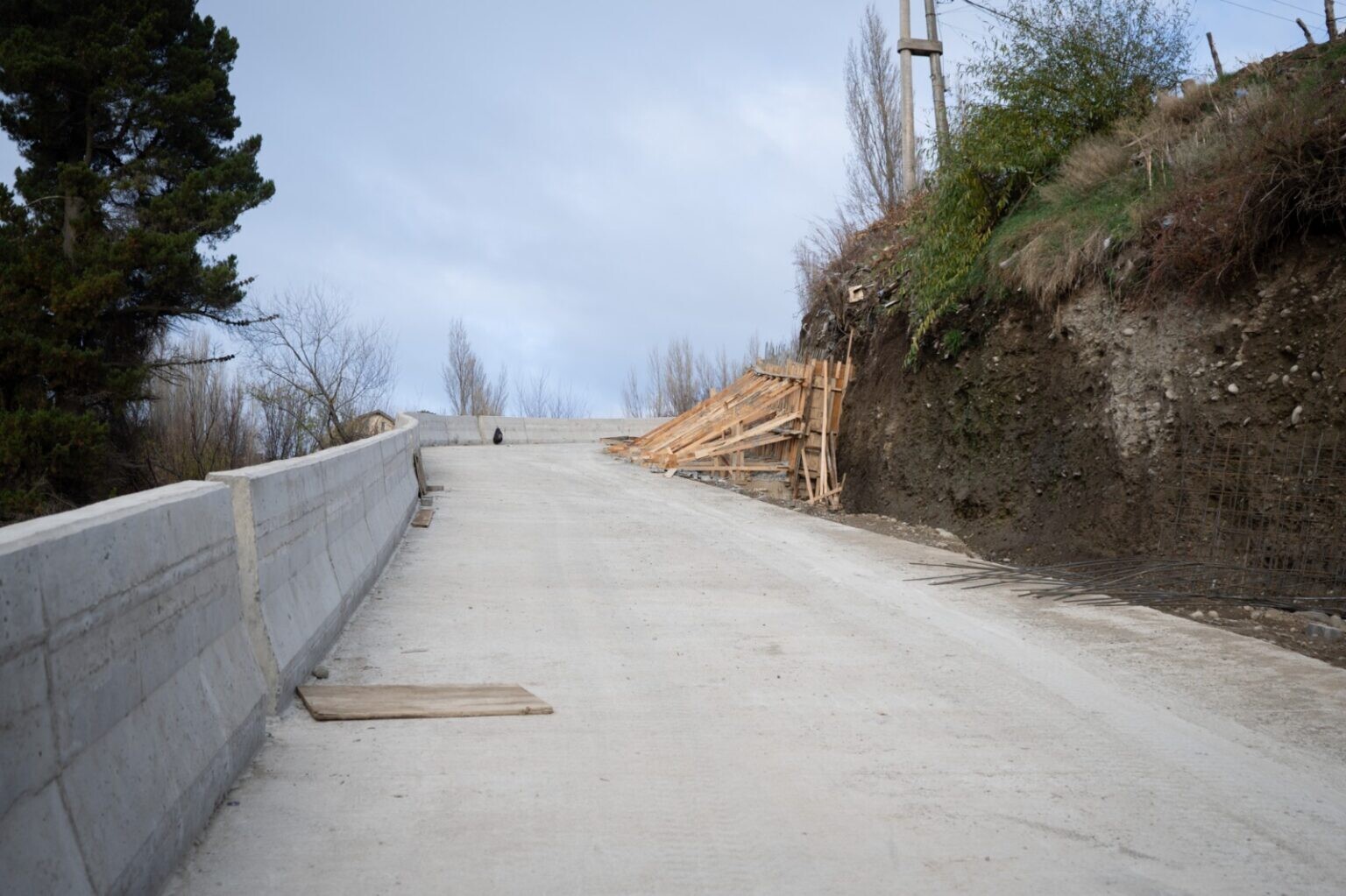 barrrda1-1536×1023
