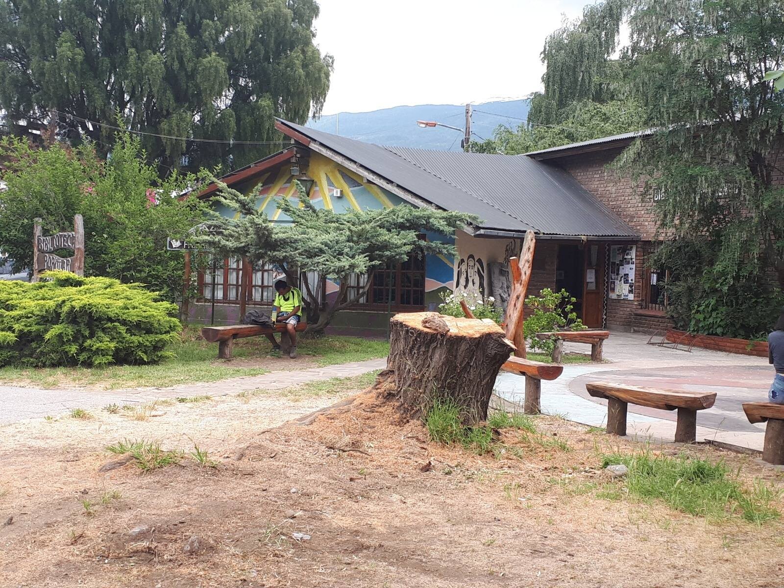 biblioteca frente arbol cortado.jpg