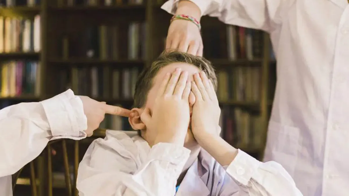 bullying-escuelas1.webp CORDOBA: El proyecto para sancionar a padres de quienes cometen bullying se aprobó por unanimidad en el Senado