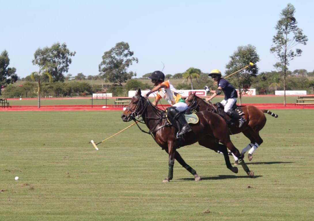 c4d3783a-7026-4302-ad78-5fef357fec46.jfif