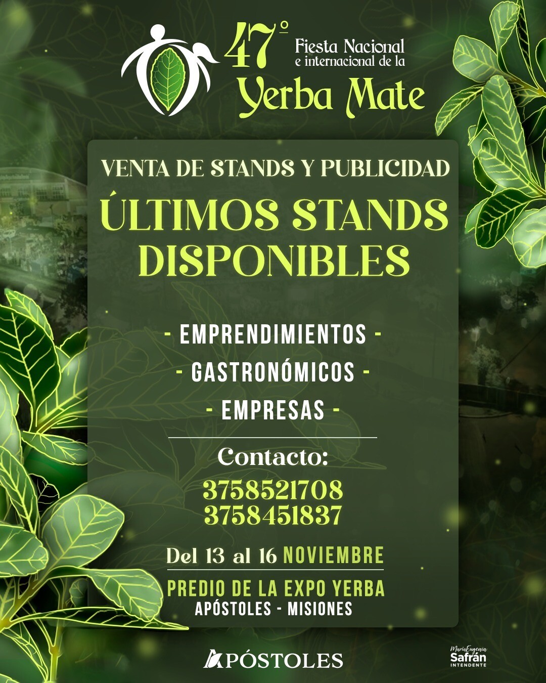 Últimos Stands Disponibles a la Venta para la 47° Edición de la Fiesta Nacional e Internacional de la Yerba Mate en Apóstoles