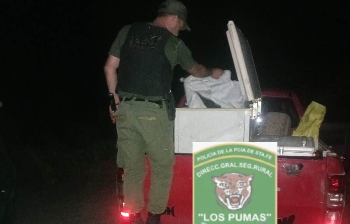“Los Pumas” de Florencia, decomisaron algo más de 200 kg de pescado que llevaban para vender en el Chaco.
