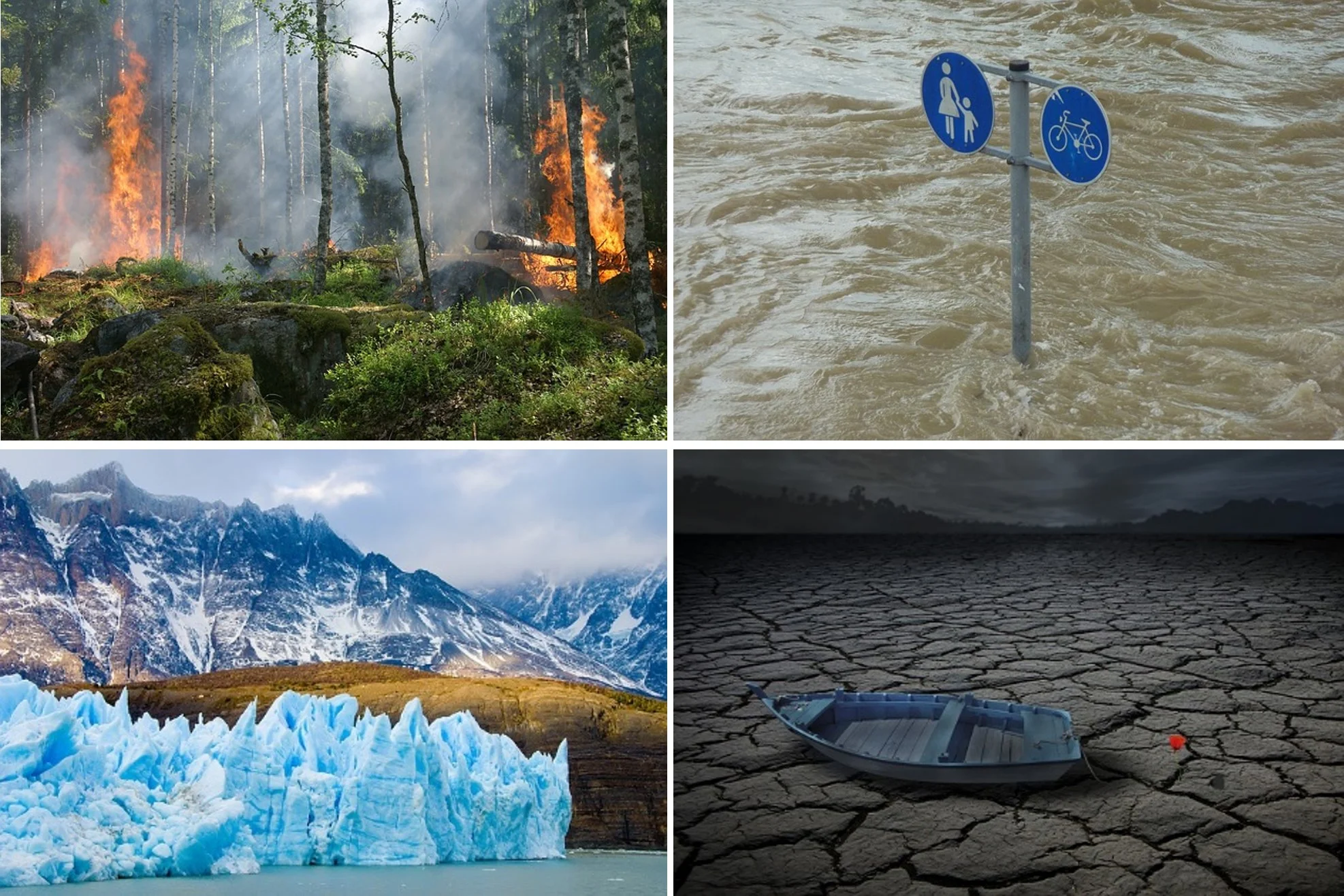 cambio-climatico.webp cambio-climatico.webp