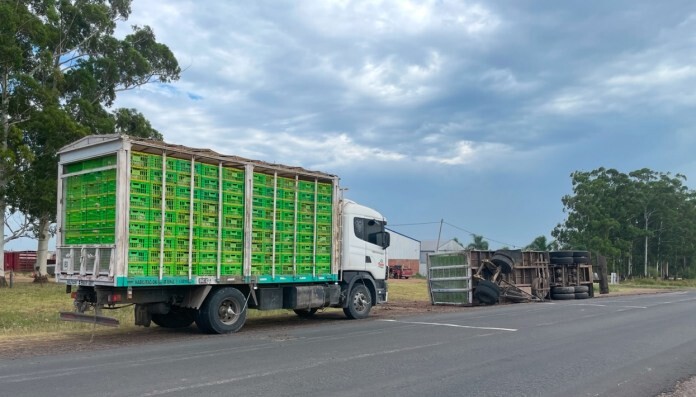camion-pollos-vuelco.jpeg Volcó un camión cargado con 5.000 pollos en Entre Ríos