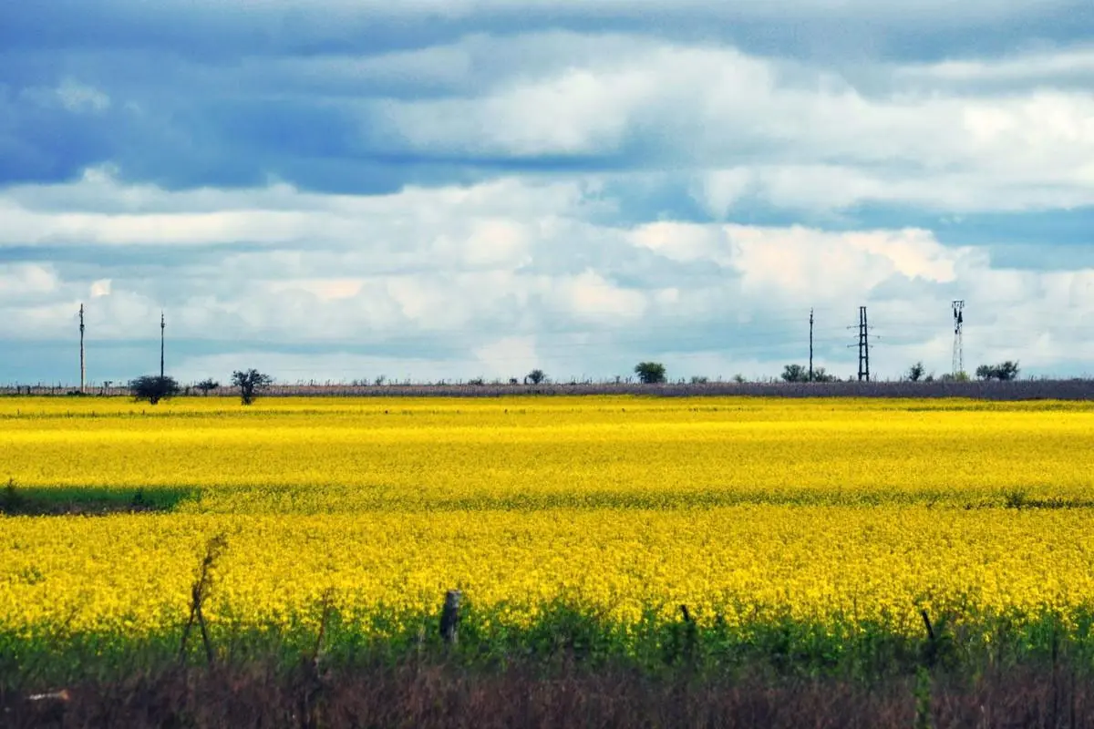 campo clima.webp Hasta el clima un despelote… Entre Ríos se encamina a la primavera con lluvias desparejas y fuertes cambios térmicos