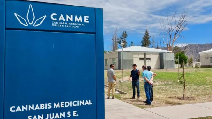 La empresa estatal sanjuanina CanMe recibió la certificación de producción orgánica para cannabis medicinal, convirtiéndose en la primera y única del país en alcanzar este reconocimiento.
