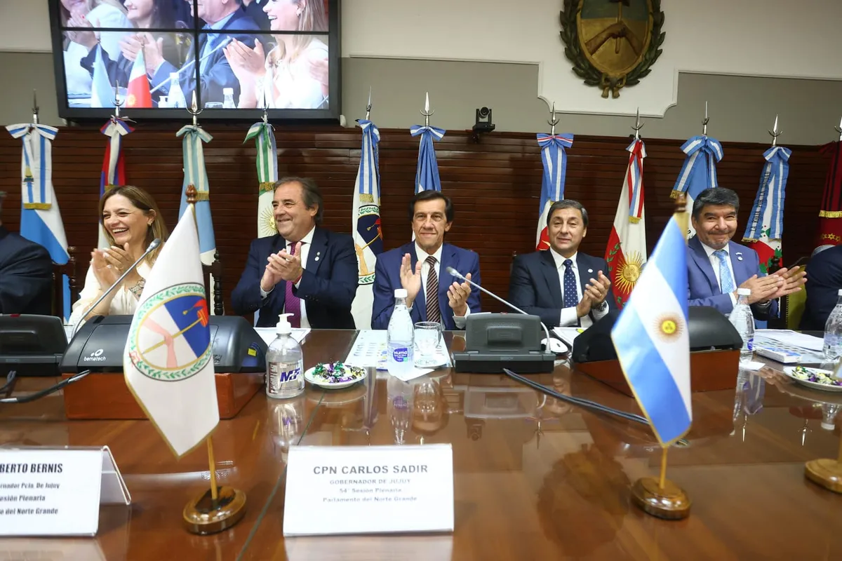 Ante el Parlamento del Norte Grande, Sadir llamó a luchar por el federalismo