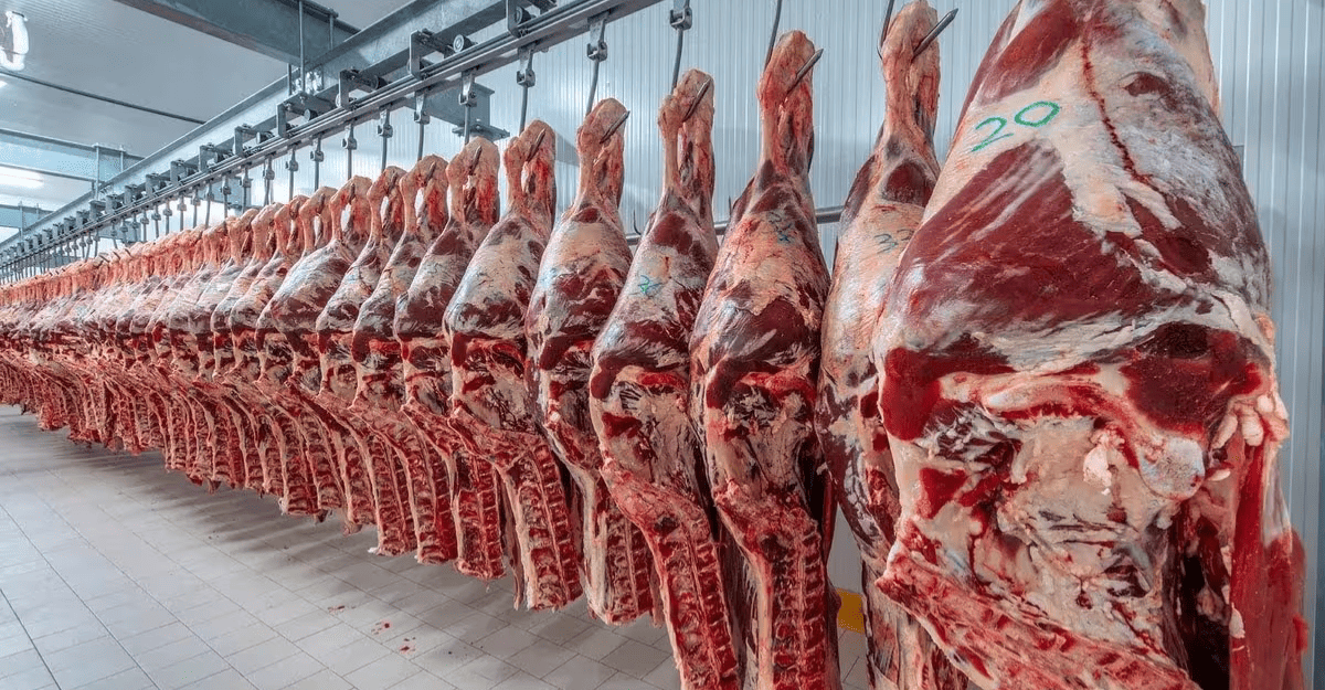 Retenciones cero para exportación de carne seguirán vigentes hasta octubre