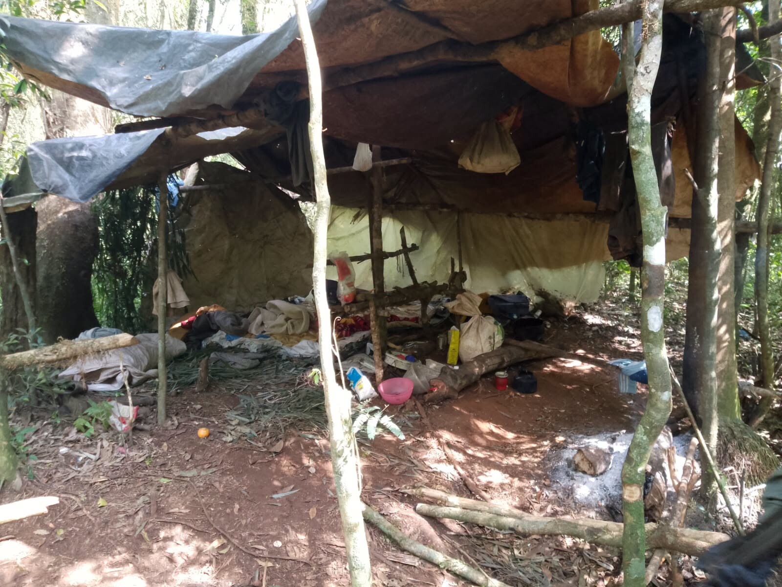 CAMPAMENTO CLANDESTINO EN EL CORAZÓN DE YABOTÍ: HALLARON EVIDENCIAS DE CAZA FURTIVA EN UNA ZONA INTANGIBLE