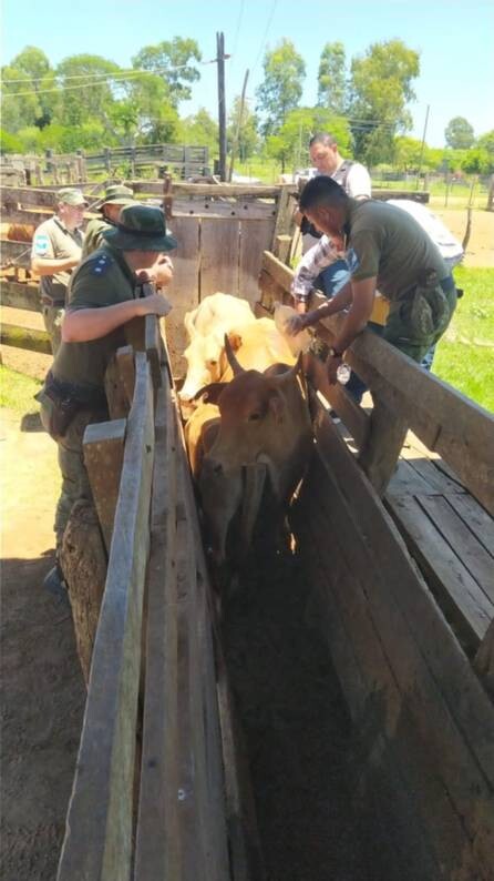 cc9006ef-4c0f-40ea-947f-e187335f8a4d.jfif