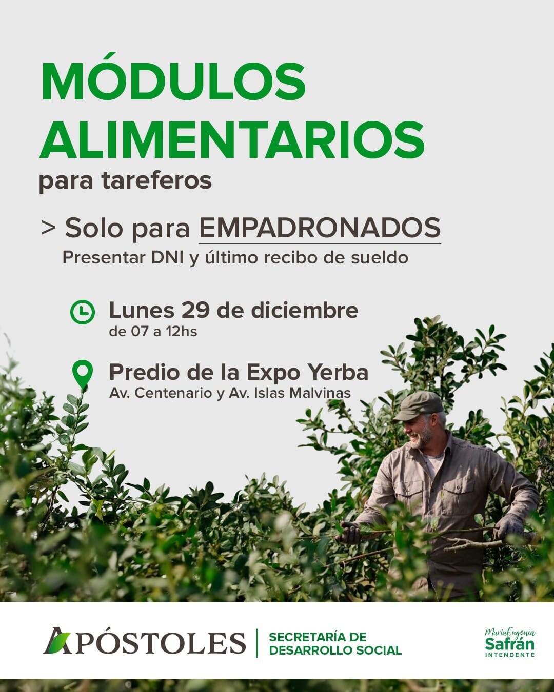 Entrega de Módulos Alimentarios para Tareferos Empadronados