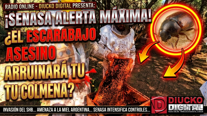 Red nacional de SENASA monitorea el pequeño escarabajo que daña colmenas