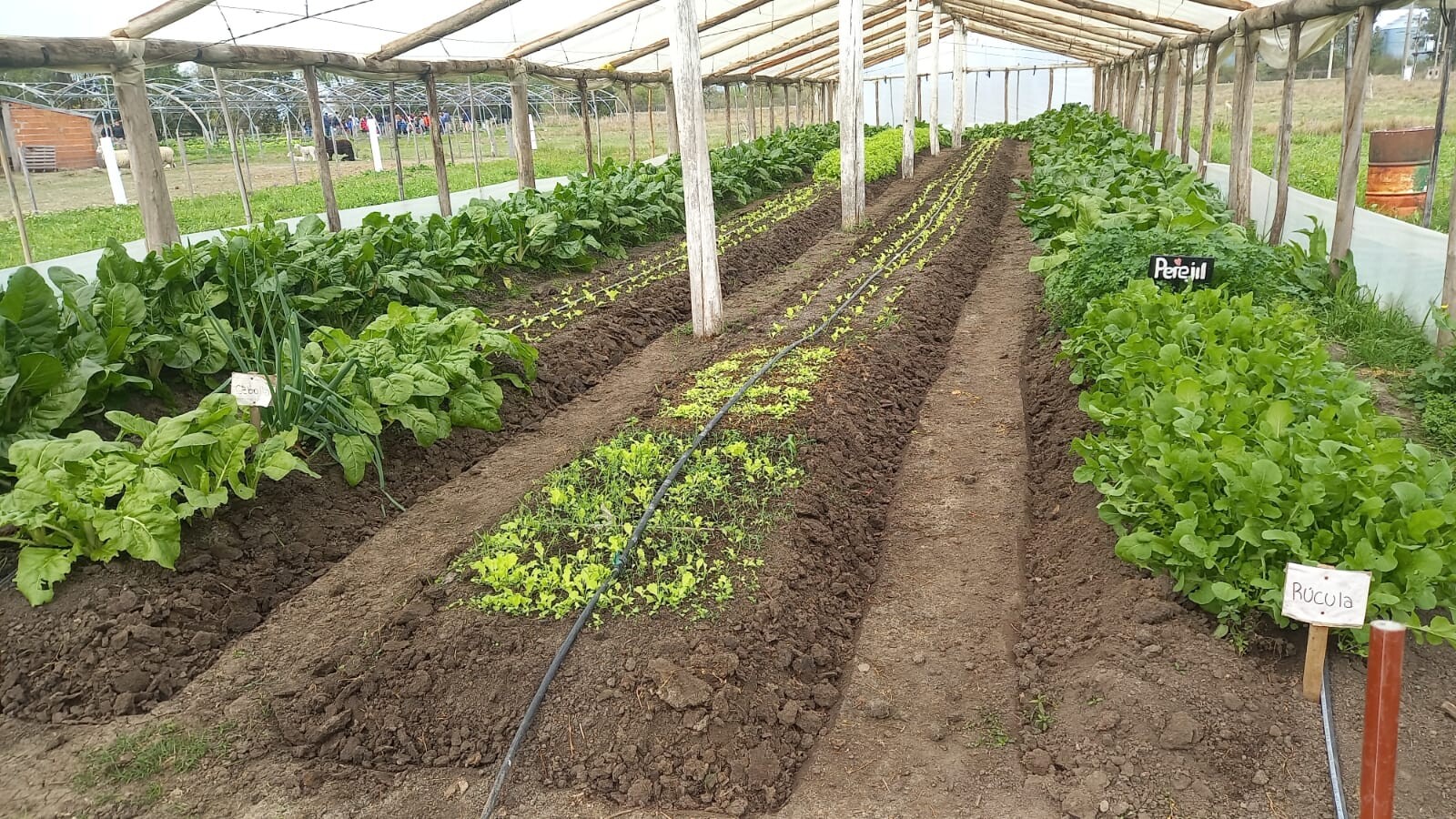 cead70d0-ef1d-4f21-8835-7fe9ab407e4c.jpg cead70d0-ef1d-4f21-8835-7fe9ab407e4c.jpg